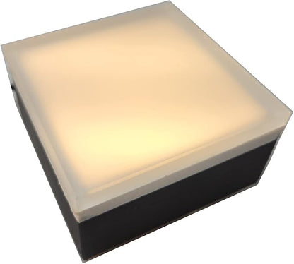 LUMENGY Paver Light 4x4 Inch (3.93x3.93), 2700K Warm White, Glare-Free Brick Lighting for Driveways, Walkways, Pool Decks and Patios, 12V Hardwired, IP67 Waterproof, Drive-Over Rated