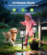 Ahaorigin 8 Pack Solar Pathway Lights Outdoor, 2 Lighting Modes Waterproof Solar Lights Outdoor, Brighter Up to 15Hrs Outdoor Solar Lights for Garden Landscape Path Walkway Driveway Sidewalk