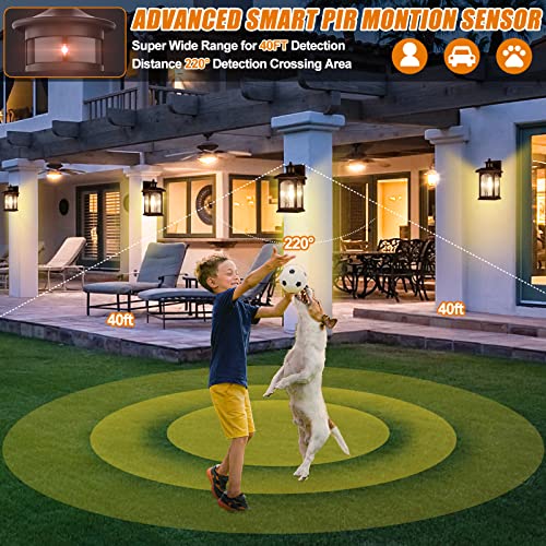 Motion Sensor Outdoor Wall Lights, Oil Rubbed Bronze, 2 Pack