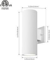 mirrea Modern Outdoor Porch Light Patio Light in 2 Lights with Aluminum Cylinder and Tempered Glass Cover | Lumora