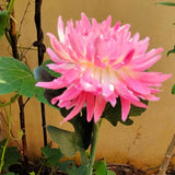 2Pcs LED Solar Garden Lights Flower Shape Ground Stake Decorative Yard Lighting Pink White for Lawn Patio Outdoor | Lumora