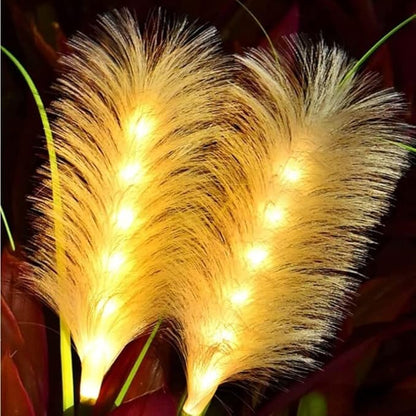 HUSSAIN Solar Garden Fairy Light, Reed Fiber Optic Light, Outdoor Solar Garden Lights Waterproof LED for Patio Yard Lawn Driveway Pathway (White Light,4 Pack)