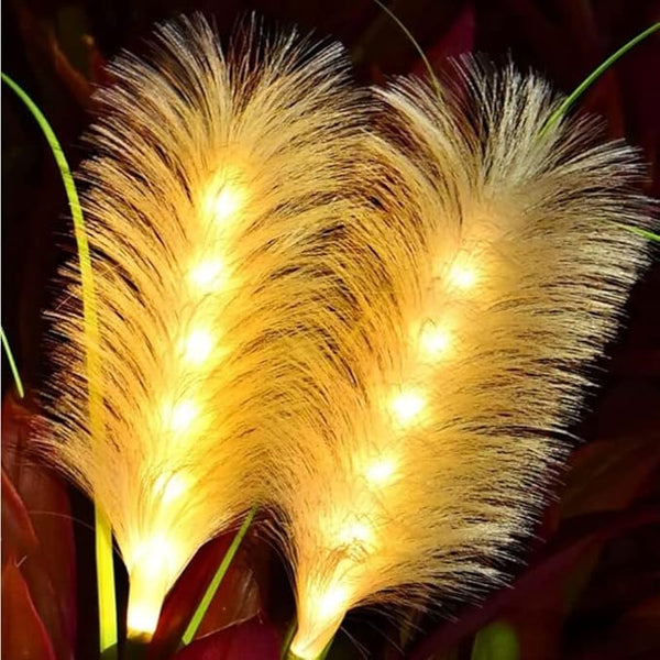 HUSSAIN Solar Garden Fairy Light, Reed Fiber Optic Light, Outdoor Solar Garden Lights Waterproof LED for Patio Yard | Lumora