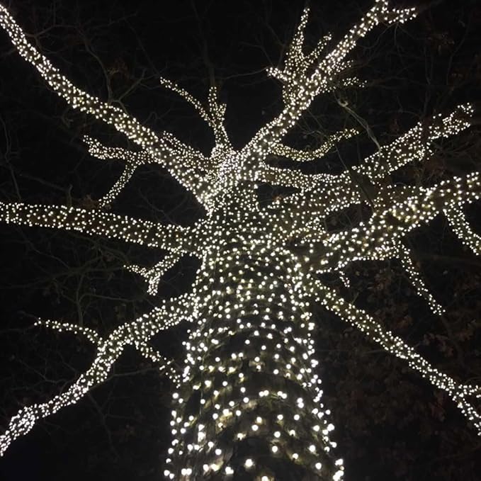 Novelty Lights 25ft 50 LED Pure White Christmas Lights Outdoor/Indoor, 6" Spacing, Green Wire String Lights for | Lumora