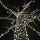 Novelty Lights 25ft 50 LED Pure White Christmas Lights Outdoor/Indoor, 6" Spacing, Green Wire String Lights for | Lumora