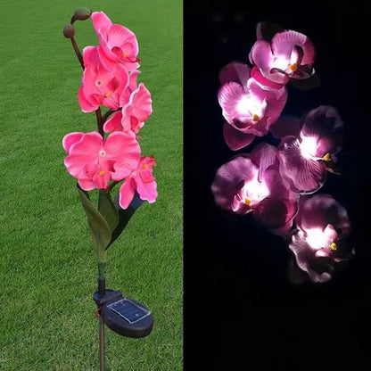 Flower Solar Lights Outdoor 2 Pack Waterproof Solar Garden Lights Phalaenopsis Flowers, Color-Changing Outdoor Lights for Patio, Back Yard, Garden, Lawn, Pathway