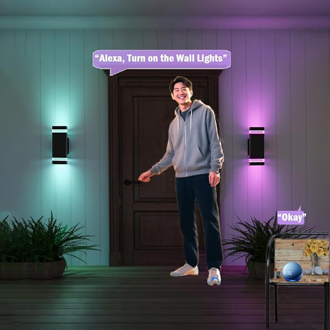 Up Down Outdoor Wall Lights Sconce, Remote Control RGB Color Changing LED Porch Lights Outdoor Wall Mounted, Black Exterior Lights for Garage, Balcony, Front Door - ETL Listed