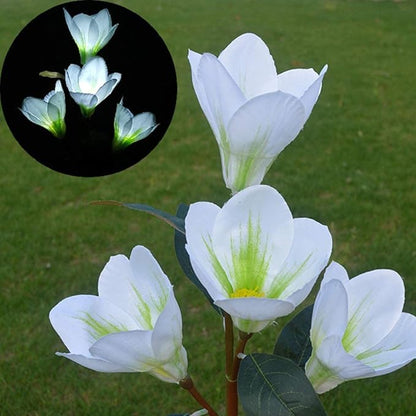 Solar Garden Lights Solar Light Outdoor, Magnolia Flower Lamp Stick Lamp 4 Forks Garden Ground Lamp for Home (Pink Magnolia White Light) (Color : White)