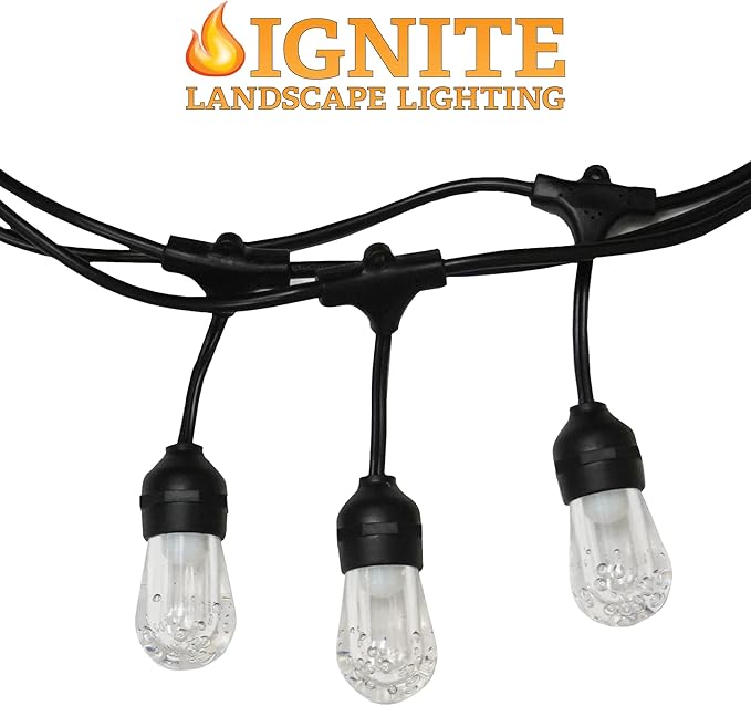 Ignite Color-Changing LED Hanging Café String Lights, 24ft Cord, 12 Lights – Add On