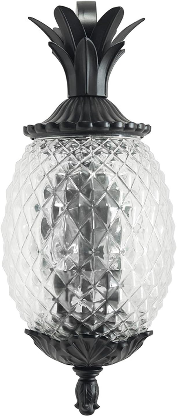 Acclaim 7502BK Lanai Collection 2-Light Wall Mount Outdoor Light Fixture, Matte Black