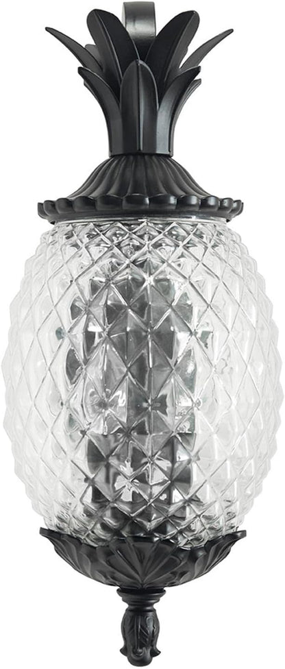 Acclaim 7502BK Lanai Collection 2-Light Wall Mount Outdoor Light Fixture, Matte Black