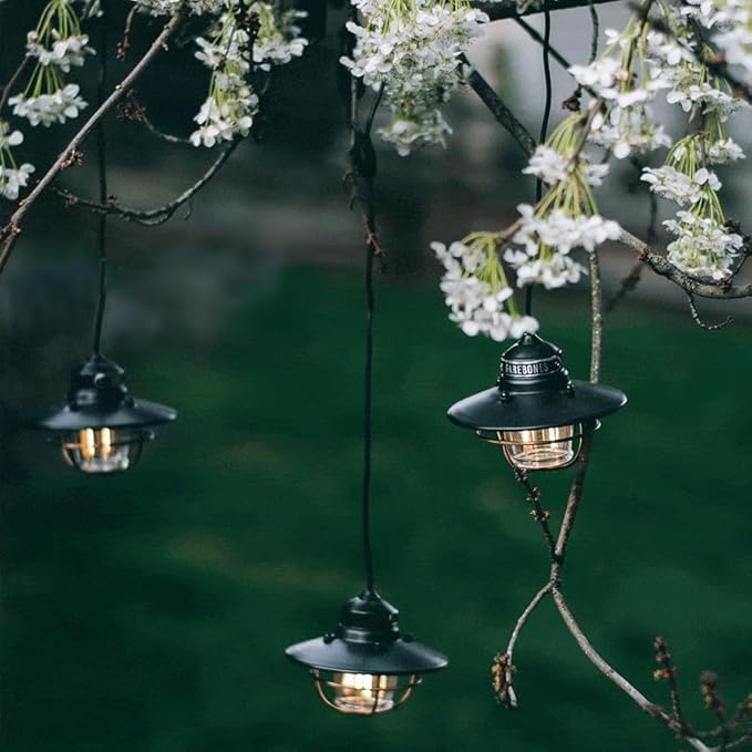Barebones Edison Pendant String Lights - Antique Bronze, 3 Edison-Style LED Bulbs with 10-Foot Cord, Energy-Efficient Outdoor Lanterns for Patio, Garden, or Indoor Decor
