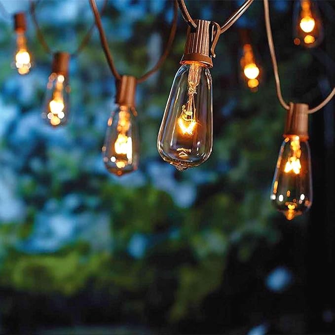 SUNSGNE 20Ft Edison Outdoor String Lights with 22 Clear Edison Bulbs, ST40 Vintage Bulbs String Lights, 7W | Lumora