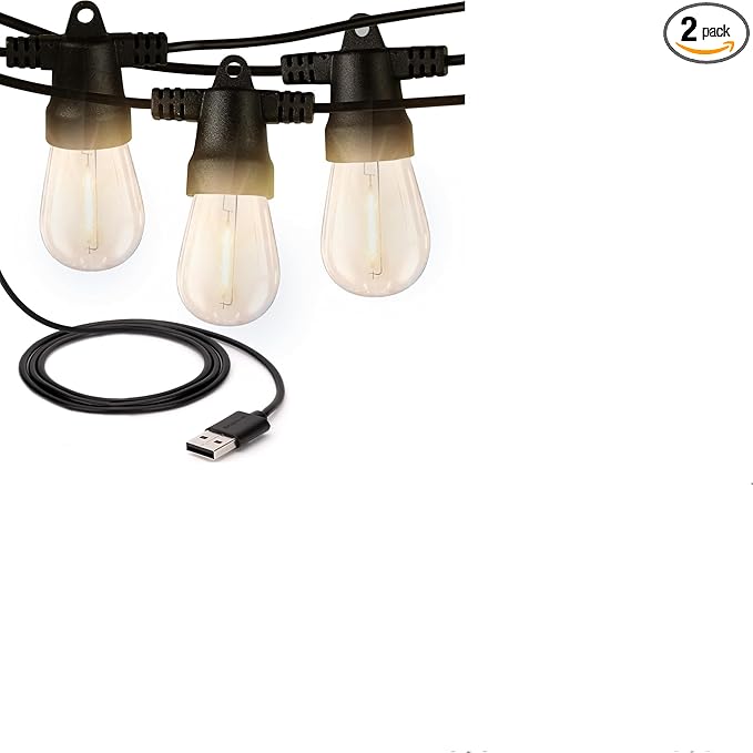 Brightech Bundle Ambience Pro USB Powered String Lights - 24 Ft + 2-Pack 10FT String Light Poles