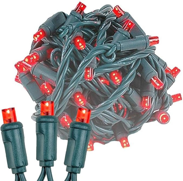 Novelty Lights 25 Feet 50 LED True Twinkle Red Outdoor Christmas String, 100% Twinkle 5mm LED Lights on Green Wire | Lumora