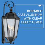 Hinkley Edgewater Outdoor Extra Large Wall Mount Lantern - Clear Seedy Glass, Aluminum - Black Finish | Lumora
