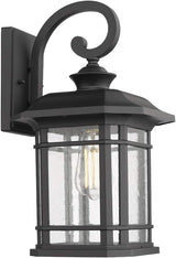 Emliviar Outdoor Wall Lights for House, 1-Light Exterior Wall Sconce Black Finish with Clear Seeded Glass, 17" | Lumora