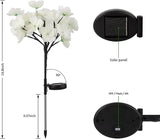 Solar Fiber Optic Camellia Flower Light, Colorful Outdoor Solar Garden DIY Decorative Lights for Walkway Pathway | Lumora