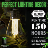 LitezAll LED Edison Bulb String Lights, Battery Operated Outdoor String Lights with Built-in Timer, Warm Glow | Lumora