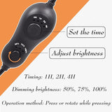 C9 String Lights with Dimmer and Timer - 31.5FT Dimmable C9 Light String with 25 E17 Light Sockets 12" Spacing | Lumora