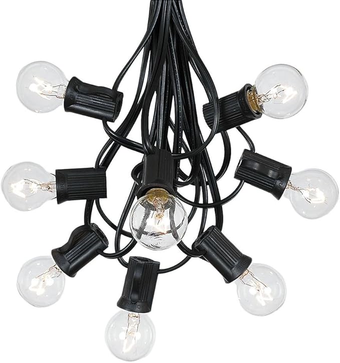 G30 25ft Outdoor Patio String Lights - 25 Clear Globe Bulbs - Indoor/Outdoor - Cafe Hanging - Green Wire