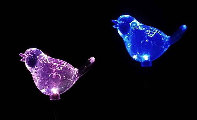 Starry Illuminate 2 PCS Solar Color Changing Style Garden Stake Light Pathway Stake Light (Bird)
