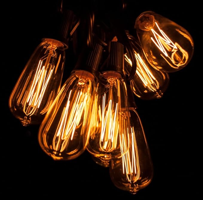 Hometown Evolution, Inc. Edison Bulb Outdoor String Lights with Hand-Threaded Filament (ST40 Lantern Edison - Black Wire, 50 ft)