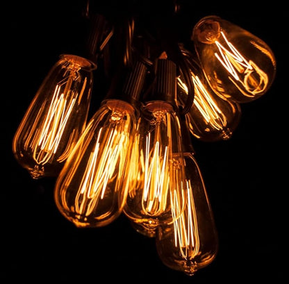 Hometown Evolution, Inc. Edison Bulb Outdoor String Lights with Hand-Threaded Filament (ST40 Lantern Edison - Black Wire, 50 ft)