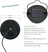 ARTER Solar Hanging Lights Outdoor Landscape Path Lights (2 Pack) | Lumora