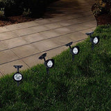 Solar Powered Lights (Set of 4)- LED Outdoor Stake Spotlight Fixture for Gardens, Pathways, and Patios by Pure | Lumora