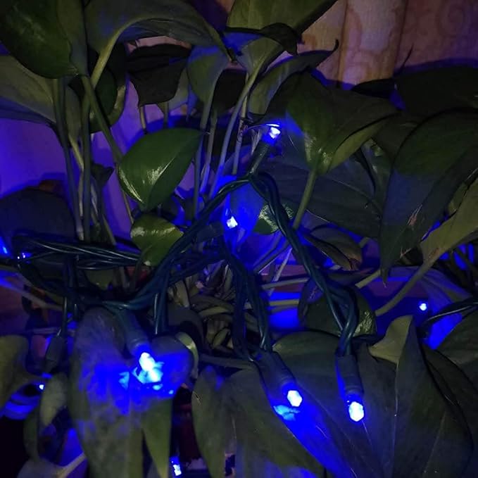 UL Listed 50 Count 5MM Wide Angle Led Christmas Lights Set,Outdoor Mini Led String Lights for Halloween Christmas | Lumora