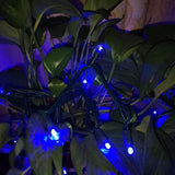 UL Listed 50 Count 5MM Wide Angle Led Christmas Lights Set,Outdoor Mini Led String Lights for Halloween Christmas | Lumora