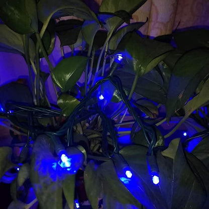 UL Listed 50 Count 5MM Wide Angle Led Christmas Lights Set,Outdoor Mini Led String Lights for Halloween Christmas Garden Patio Trees Lighting Decorations,17 Feet Green Wire,Blue Color