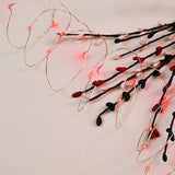 2 Pack Solar Powered Fairy String Lights Outdoor Waterproof 8 Modes Twinkle Christmas Decorations Lights, Each | Lumora