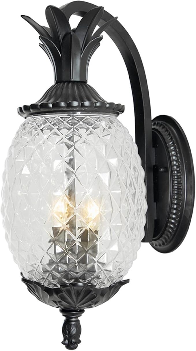 Acclaim 7502BK Lanai Collection 2-Light Wall Mount Outdoor Light Fixture, Matte Black