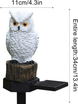 13in Solar Outdoor Lights, Solar Powered Outdoor Garden Lights Used For Floor Mounted Ray On Terraces Lawns | Lumora