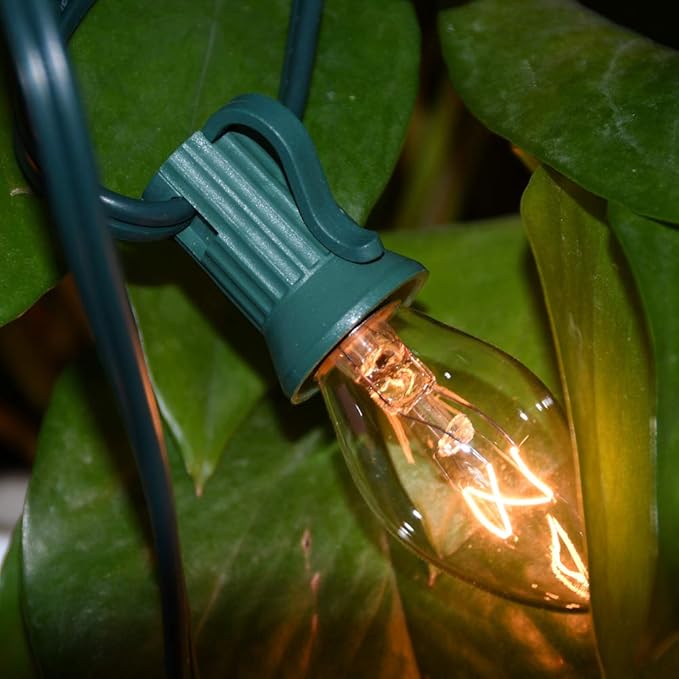 GOOTHY 25 Pack C7 Clear Christmas Light Bulbs, C7 Incandescent Christmas Replacement Lights Bulbs for Outdoor | Lumora