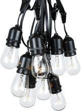 Novelty Lights 100 Feet, 50 Suspended E26 Sockets, S14 String Light Set with Clear Incandescent Bulbs, Heavy Duty | Lumora