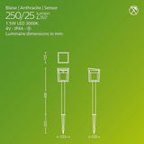 Philips Solar LED 1-Pack Ultra-Efficient Pathway Light - Blaise, Automatically Linkable, Dusk to Dawn, Motion | Lumora