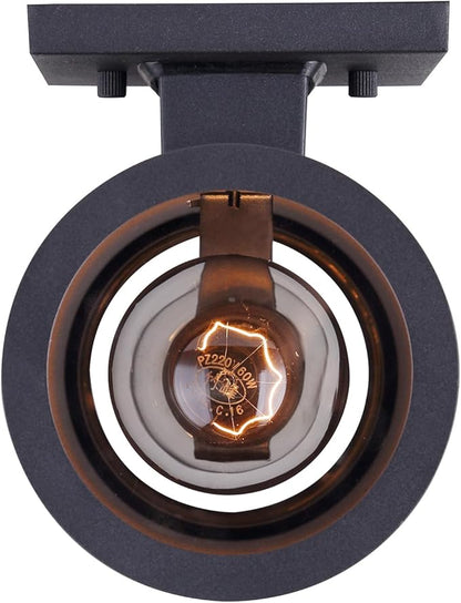Canarm Baylyn 2-Light Outdoor Wall Sconce, Black Finish Up/Down Light, Easy Install Durable Wet-Rated Outdoor Lighting for Porch, Patio, Entryway or Garden