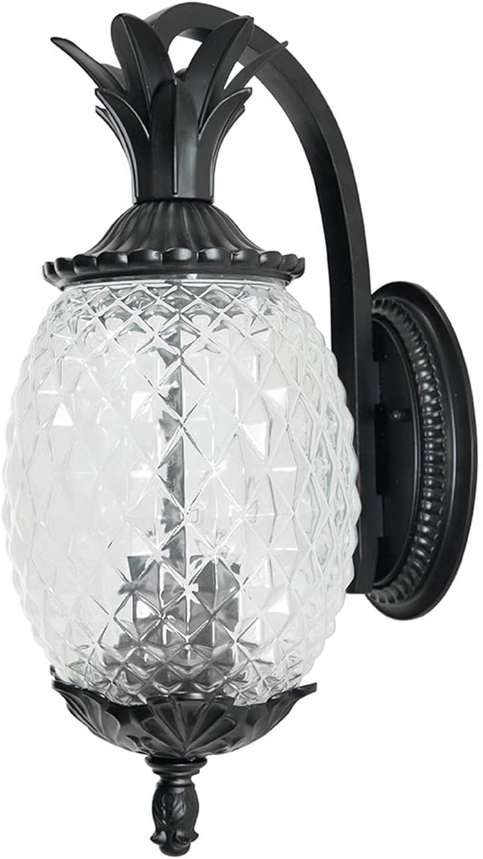 Acclaim 7502BK Lanai Collection 2-Light Wall Mount Outdoor Light Fixture, Matte Black