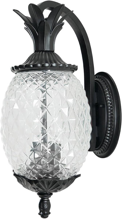 Acclaim 7502BK Lanai Collection 2-Light Wall Mount Outdoor Light Fixture, Matte Black