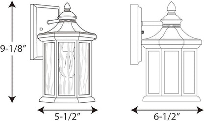 Progress Lighting Edition Collection 1-Light Water Glass Traditional Outdoor Medium Wall Lantern Light Antique Bronze, 7"