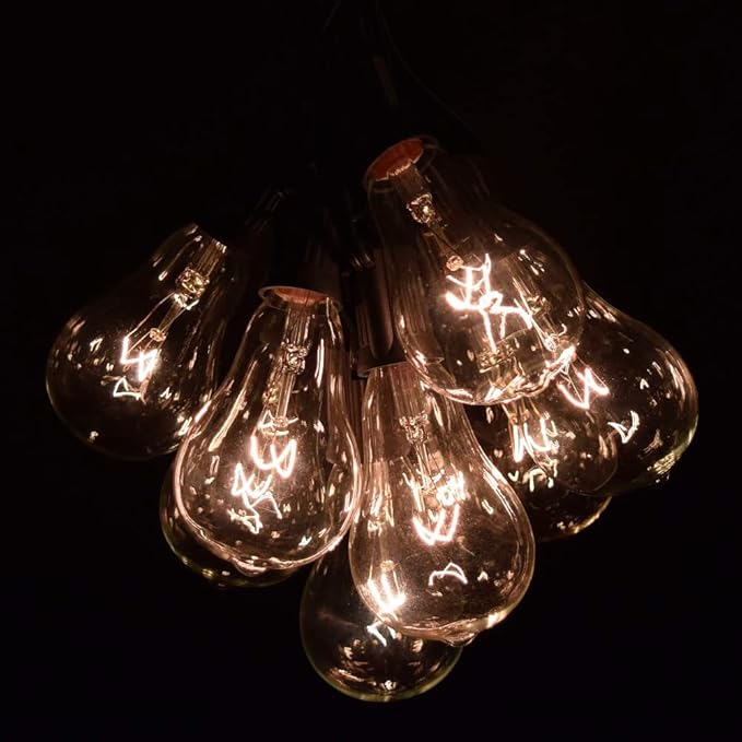 Hometown Evolution, Inc. Vintage Edison Outdoor String Lights (PS50 Clear - Black Wire, 25 ft) | Lumora