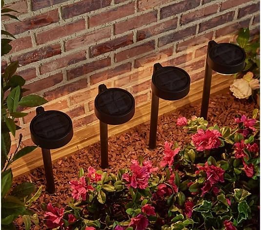 Energizer Outdoor Solar Garden Lights - 4 Pack IP65 Waterproof Solar Downlights with Aluminum Metal Construction, Easy to Install LED Solar Lights for Outside Front Yard Decor & Patio Lighting