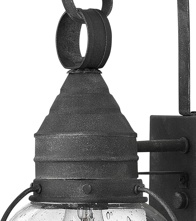 Hinkley Cape Cod 2206DZ Medium Outdoor Wall Mount Onion Lantern - Clear Seedy Glass, Wet Rated - Aged Zinc