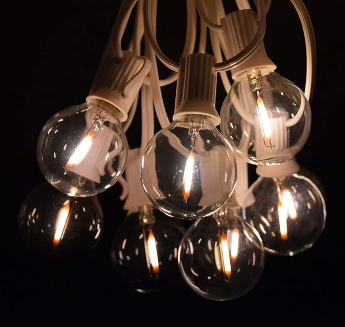 Hometown Evolution, Inc. G40 LED Warm White Outdoor Patio String Lights with 0.6 Watt Bulbs (G40 LED Filament - White Wire, 25 ft)