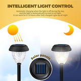 Super Bright Solar Light, Waterproof 6 Pack, Up to 12 Hours of Solar Outdoor Access Garden Light, Automatic on/Off | Lumora