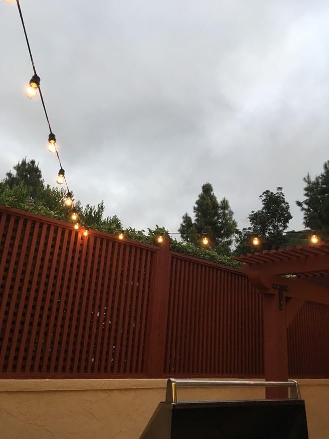 Novelty Lights 100 Feet Heavy Duty Light String with 50 in-Line E26 Sockets, Black - Outdoor Security Flood Light | Lumora