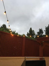 Novelty Lights 100 Feet Heavy Duty Light String with 50 in-Line E26 Sockets, Black - Outdoor Security Flood Light | Lumora